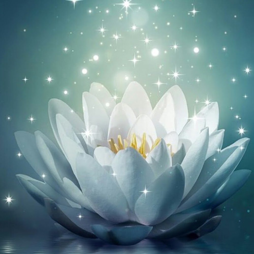 Meet your Posher, Breann